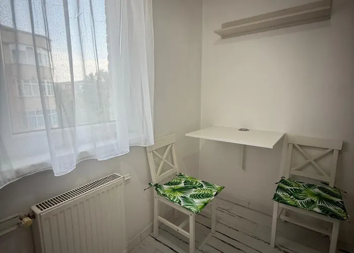 公寓 Centru S 3 克拉奥华